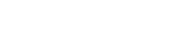 WOLF TECHNOLOGIES logo